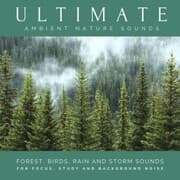 Cover von Ultimate Ambient Nature Sounds (XXL Bundle)