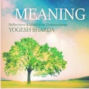 Cover von Meaning
