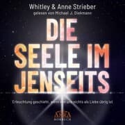 Cover von DIE SEELE IM JENSEITS. Erleuchtung geschieht, wenn von uns nichts als Liebe übrig ist