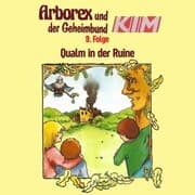 Cover von 09: Qualm in der Ruine