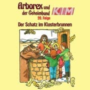 Cover von 20: Der Schatz im Klosterbrunnen