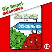 Cover von 10: Das Wunder (Eine merkwürdige Begegnung, Teil 2)
