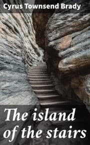Cover von The island of the stairs
