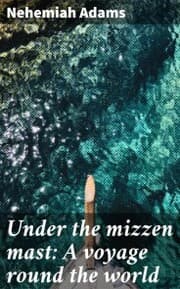 Cover von Under the mizzen mast: A voyage round the world