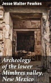 Cover von Archeology of the lower Mimbres valley, New Mexico