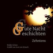 Cover von Gute Nacht Geschichten Zehntens