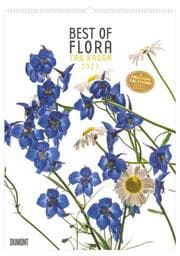 Cover von Best of Flora 2027