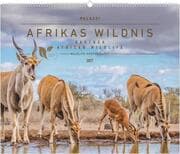 Cover von Hautnah - Afrikas Wildnis 2027