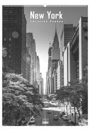 Cover von New York 2027