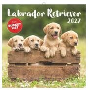 Cover von Labrador Retriever 2027