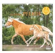 Cover von Geliebte Pferde 2027