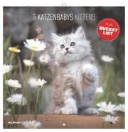 Cover von Katzenbabys 2027