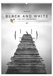 Cover von Black and White 2027