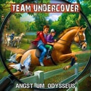 Cover von Angst um Odysseus