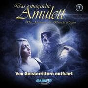 Cover von Von Geisterrittern entführt