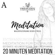 Cover von Waldspaziergang gegen Stress - Meditation A - 20 Minuten Meditation