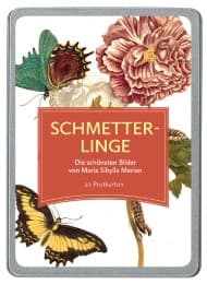 Cover von Schmetterlinge