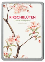 Cover von Kirschblüten