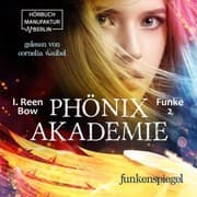Cover von Funkenspiegel