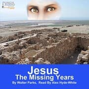 Cover von Jesus: The Missing Years