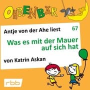 Cover von Was es mit der Mauer auf sich hat