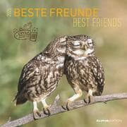 Cover von Beste Freunde 2025 - Broschürenkalender 30x30 cm (30x60 geöffnet) - Kalender mit Platz für Notizen - Best Friends - Bildkalender - Wandkalender