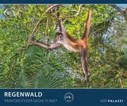 Cover von Regenwald 2025 - Bild-Kalender - Poster-Kalender - 60x50