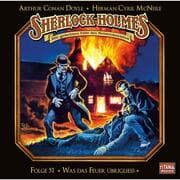 Cover von Was das Feuer übrigliess