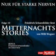 Cover von Mitternachtsstories von Willi Wegner
