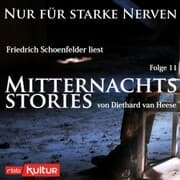 Cover von Mitternachtsstories von Diethard van Heese
