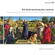 Cover von Die Auferweckung des Lazarus