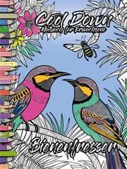 Cover von Cool Down - Malbuch für Erwachsene: Bienenfresser