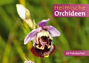 Cover von Heimische Orchideen