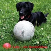 Cover von Lulu - Ein Hundeleben