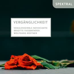 Cover von Vergänglichkeit
