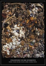Cover von Strandfunde von der Ostseeküste - Poster