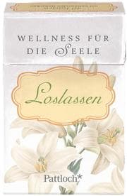 Cover von Wellness für die Seele 'Loslassen'