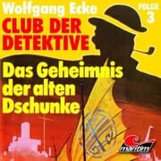 Cover von Das Geheimnis der alten Dschunke