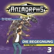 Cover von Die Begegnung