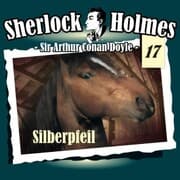 Cover von Silberpfeil