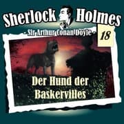 Cover von Der Hund der Baskervilles