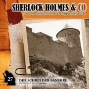 Cover von Der Schrei der Banshee, Episode 2
