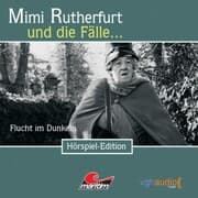 Cover von Flucht im Dunkeln