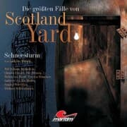 Cover von Schneesturm