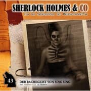 Cover von Der Rachegeist von Sing Sing