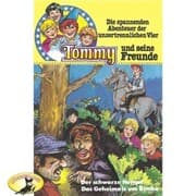 Cover von Der schwarze Hengst / Das Geheimnis um Bimbo