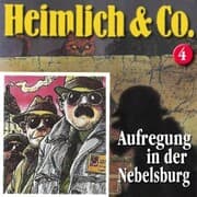Cover von Aufregung in der Nebelsburg