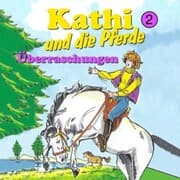 Cover von Überraschungen
