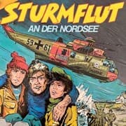 Cover von Sturmflut an der Nordsee