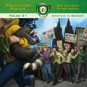 Cover von Einstein in Gefahr